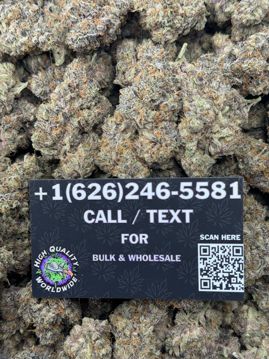 Crazy Animal Cookies