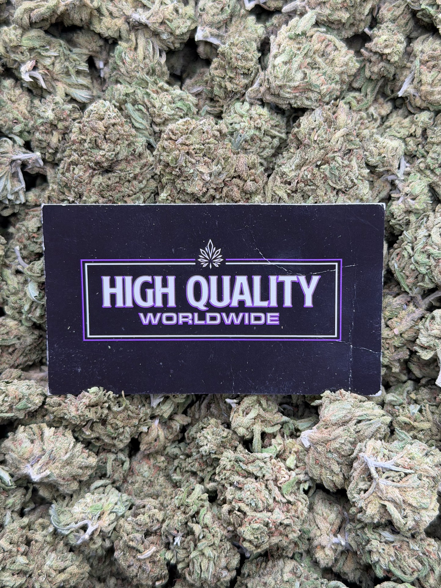 Blue Dream