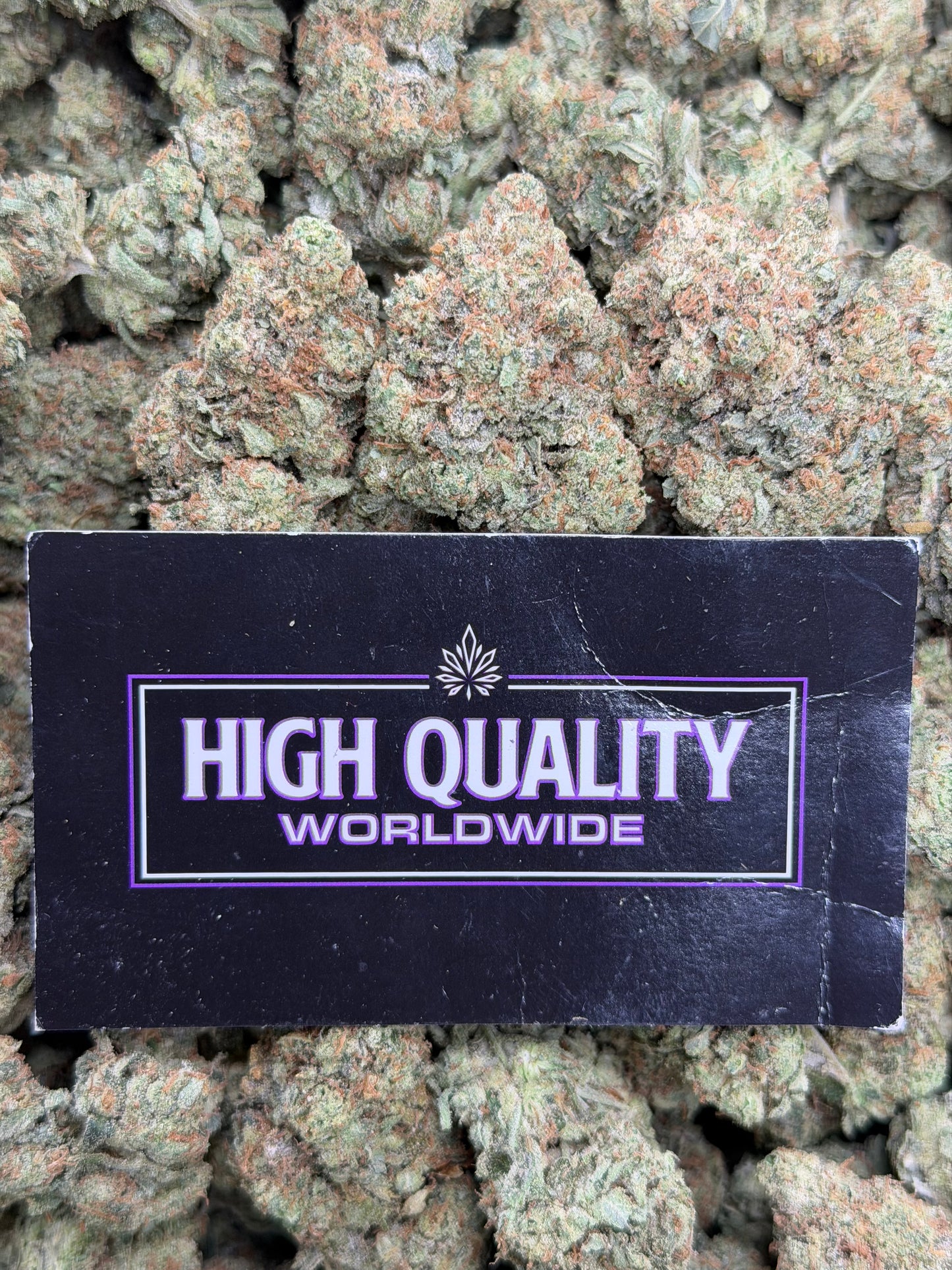 Alien OG Kush