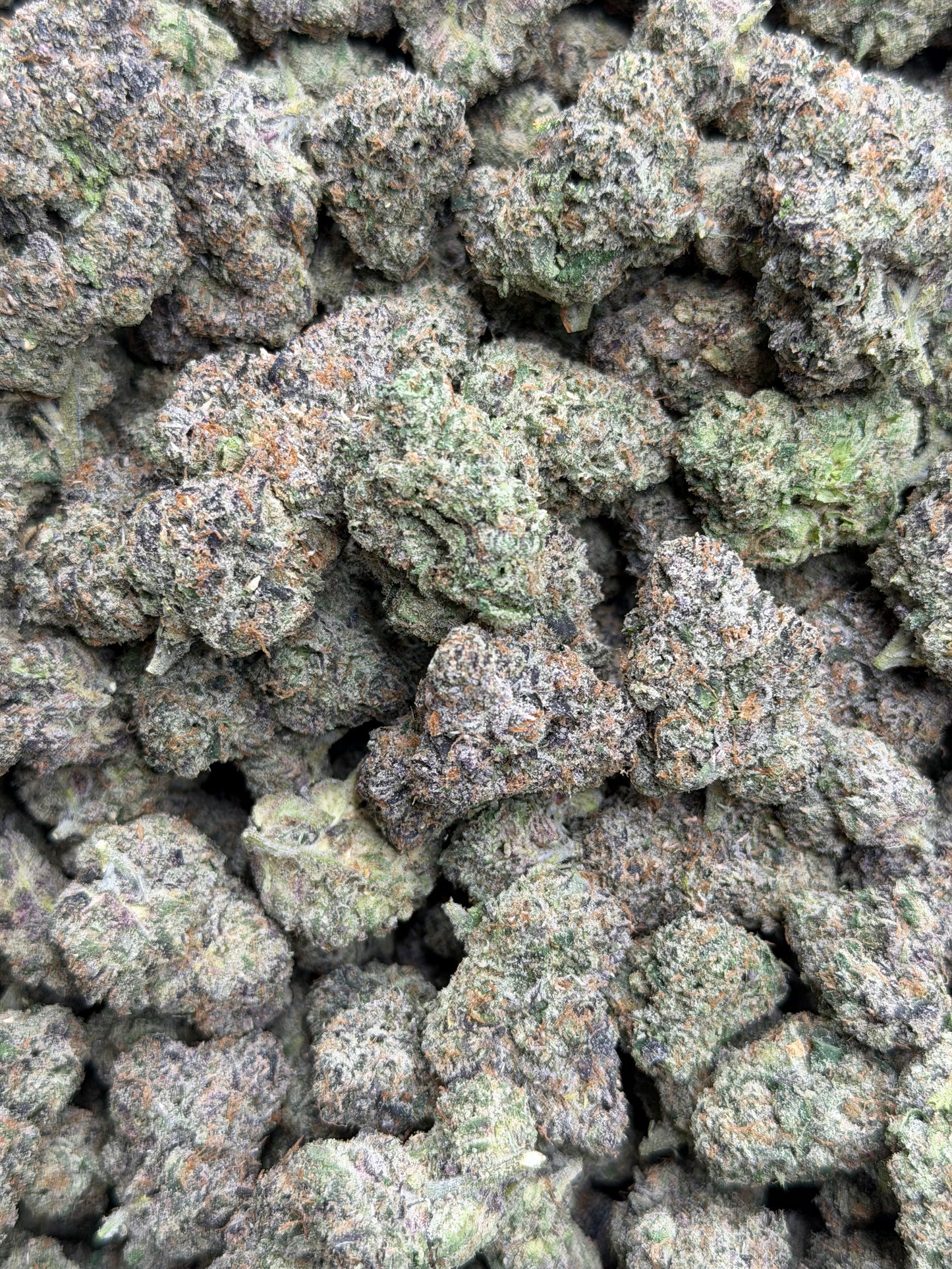 Super Blue Nerds