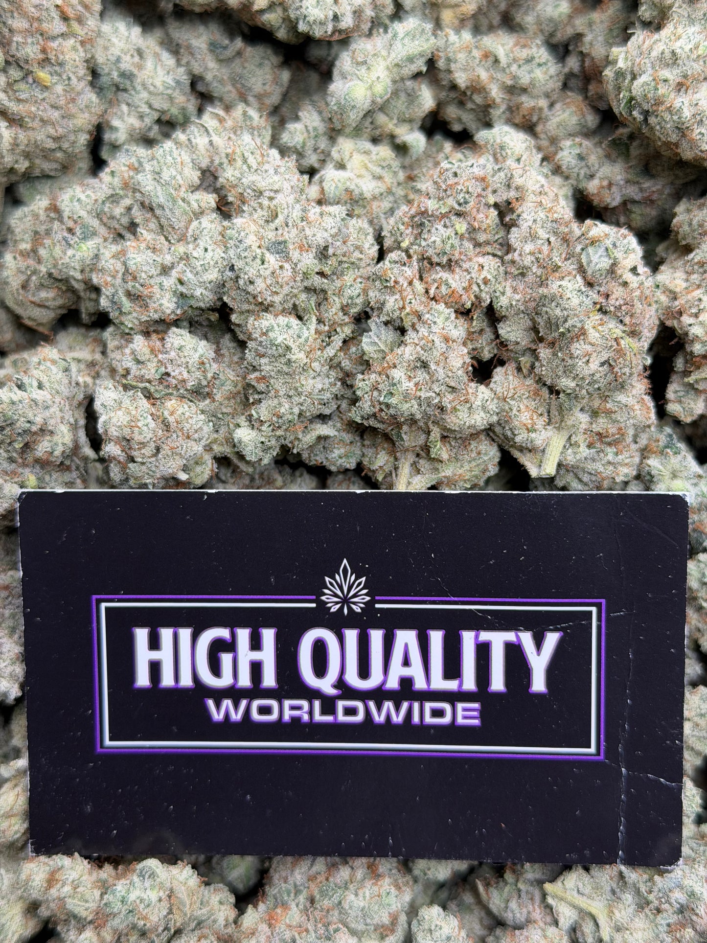 Super Glue