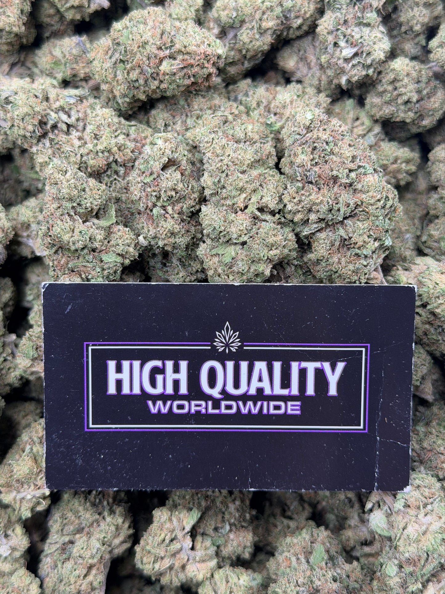 ChemDawg