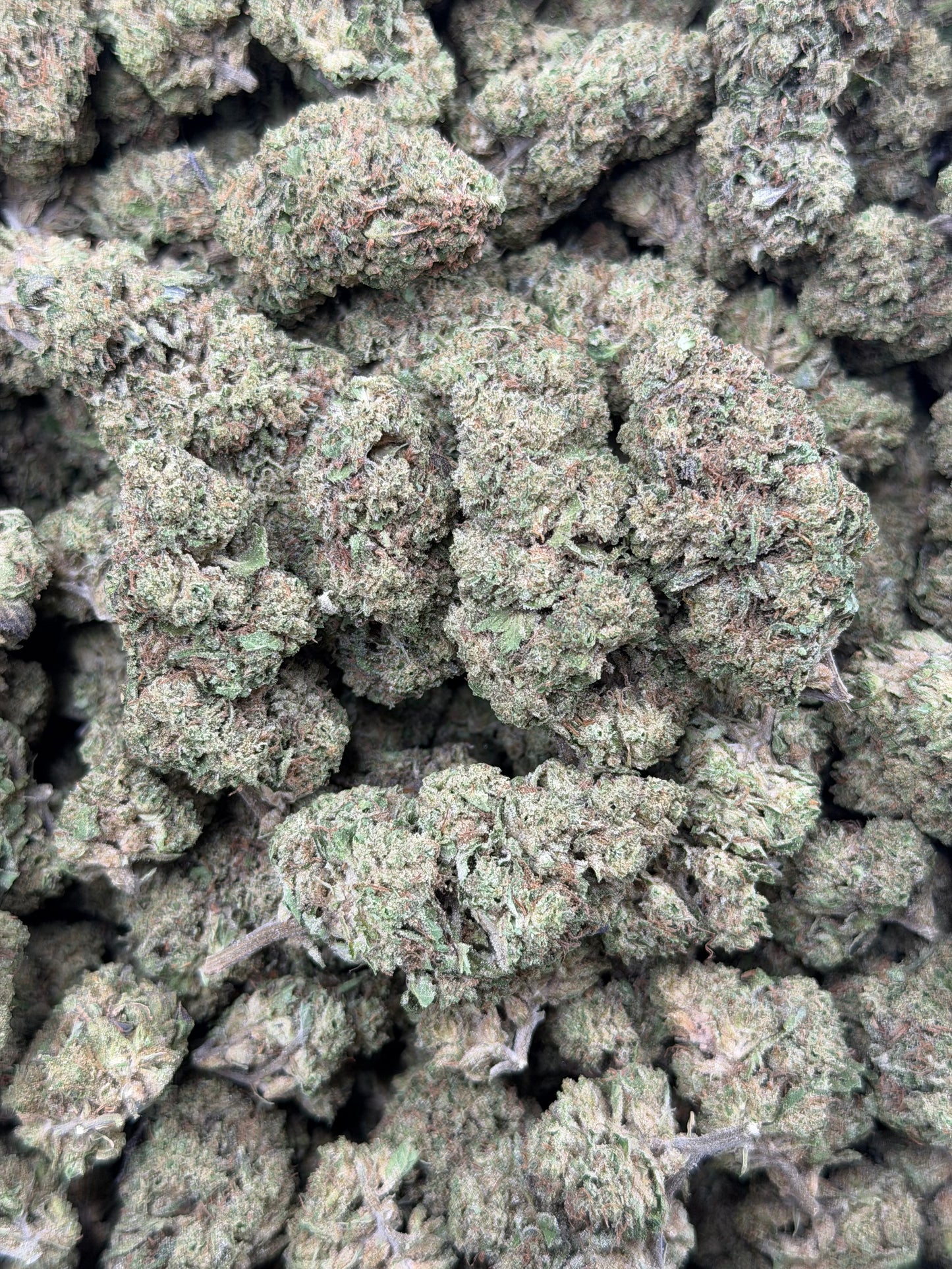 ChemDawg