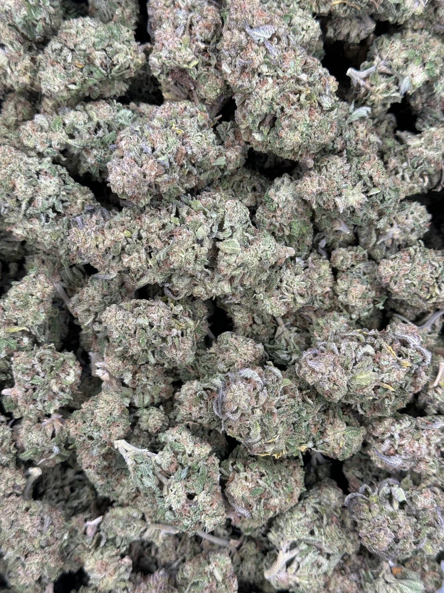 Lemon Sherbert Runtz