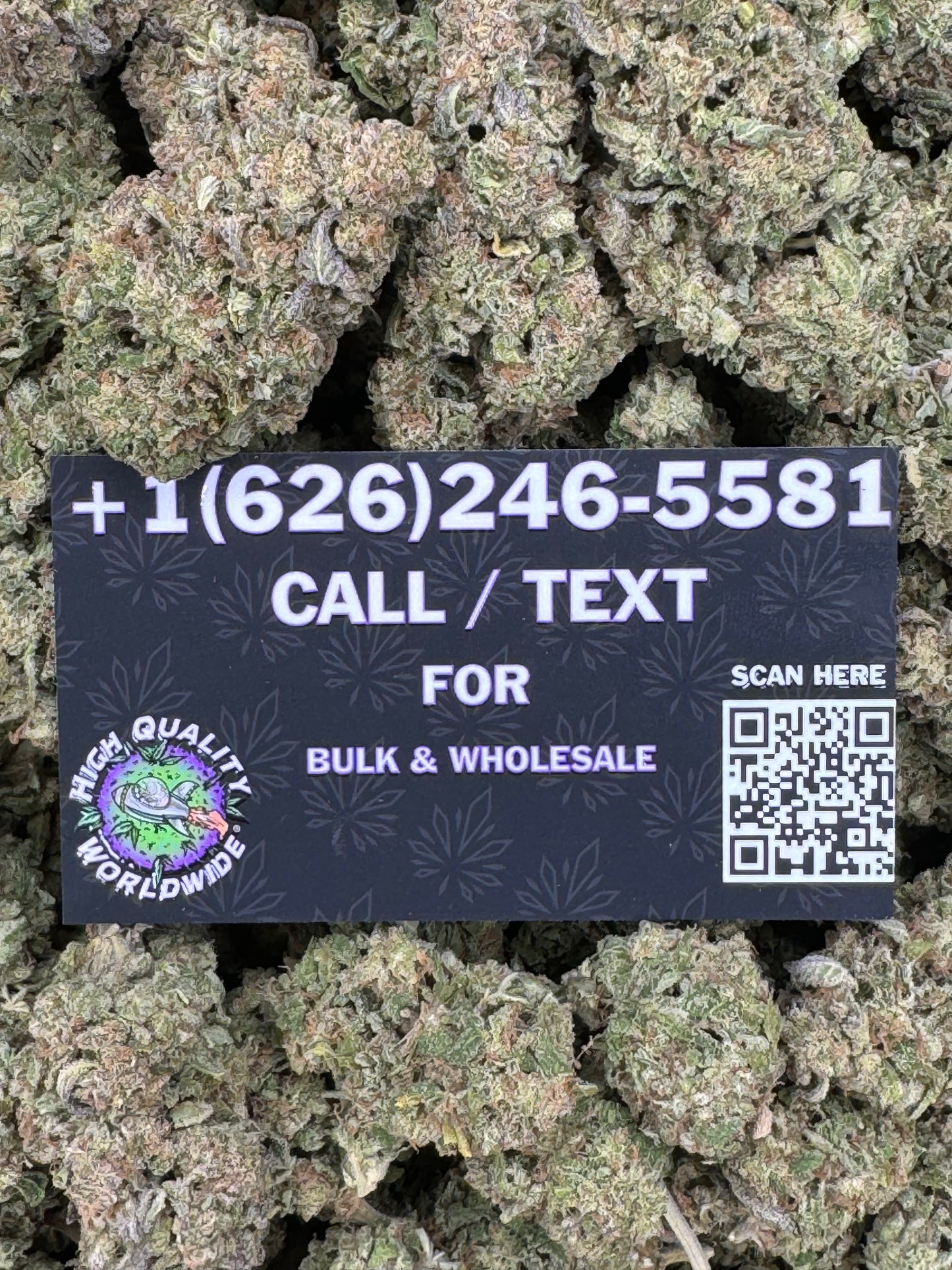 Lemon Sherbert Runtz