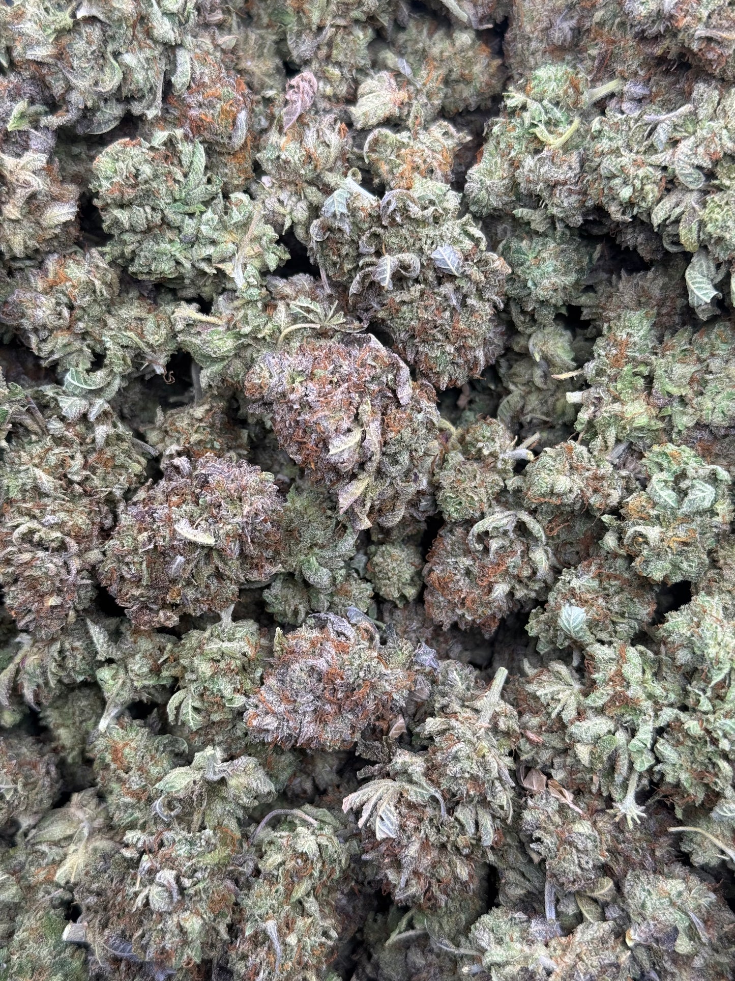 Watermelon Bubbas