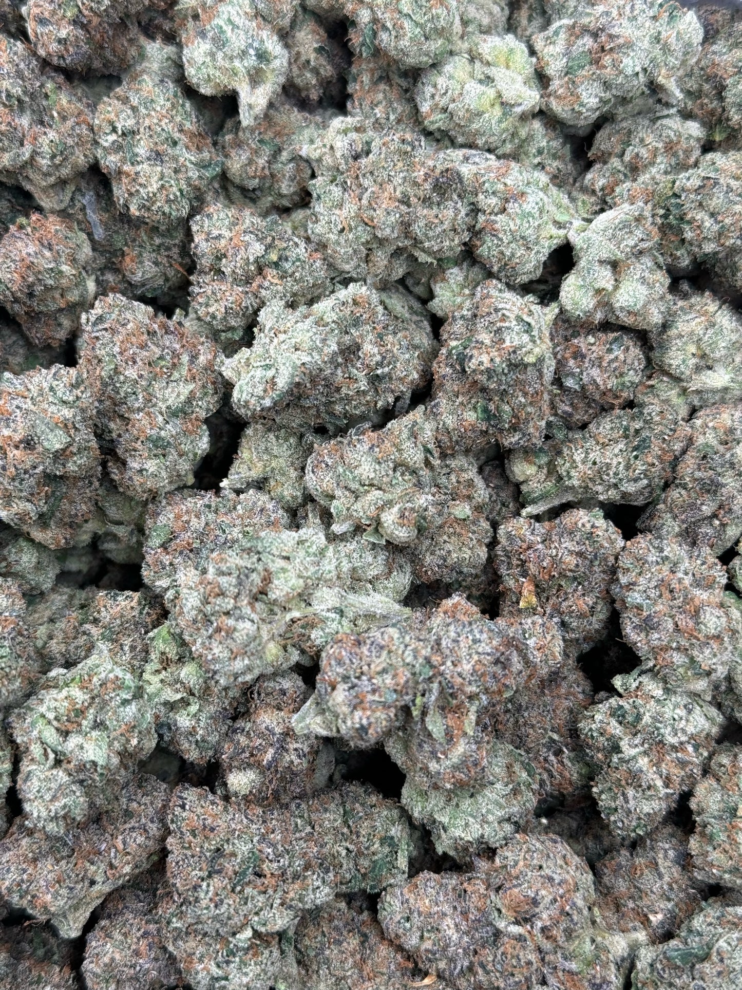 Blue Cherry Gelato