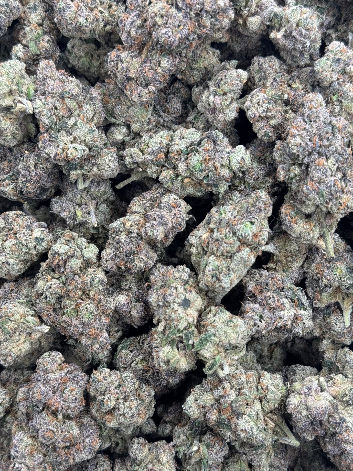 Ruby Popz