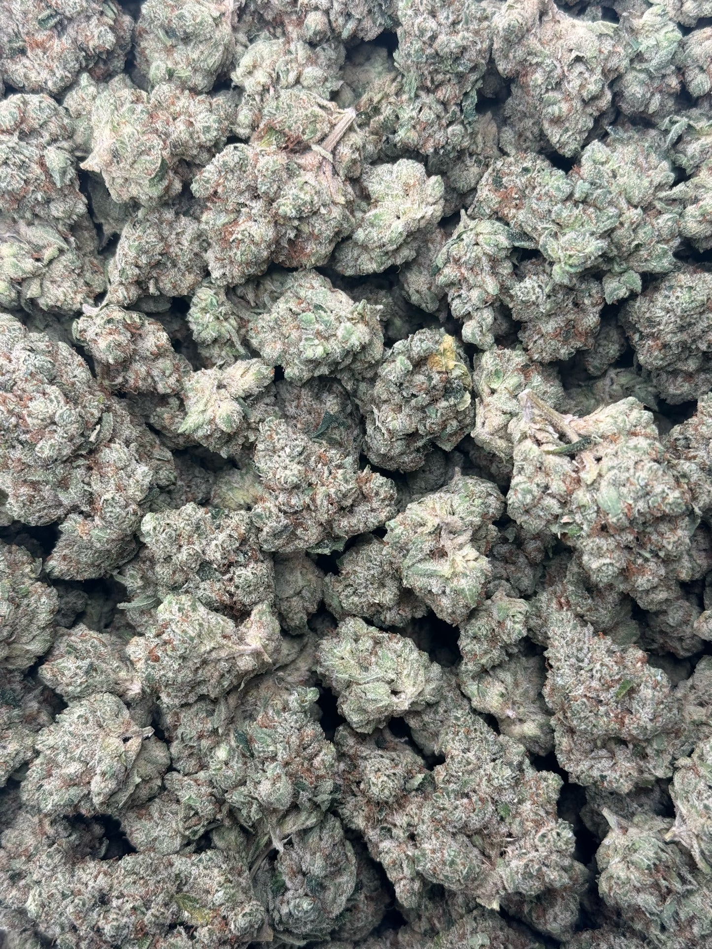 Skywalker Og