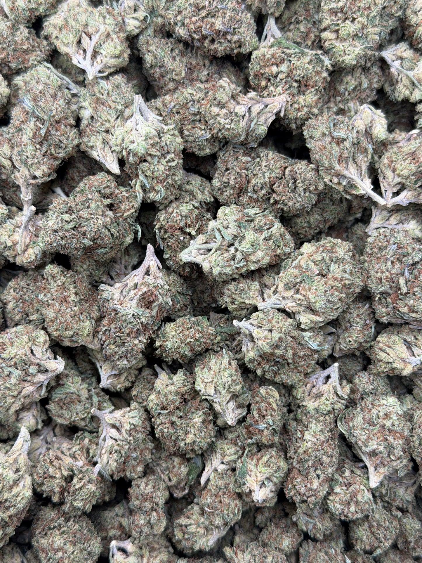 Paris OG