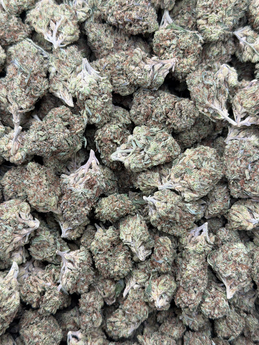 Paris OG