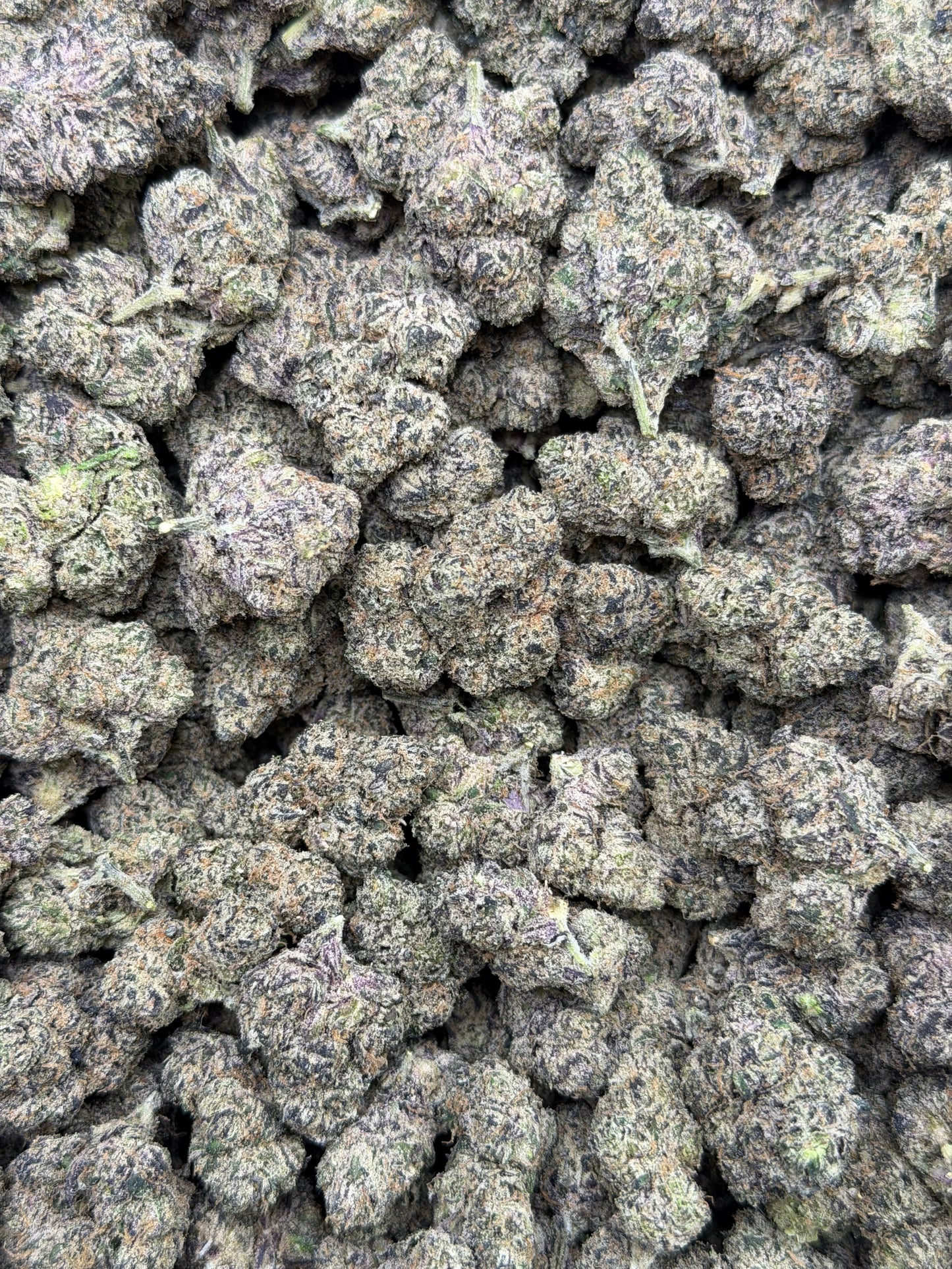 Bubblegum Gelato