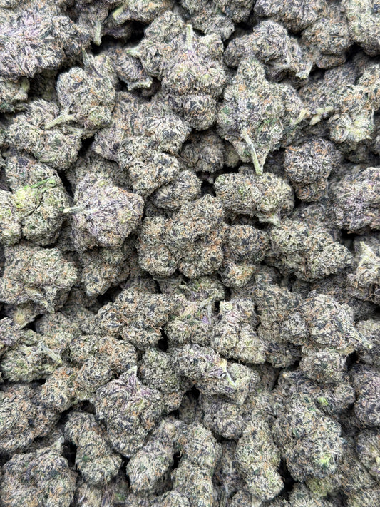 Bubblegum Gelato