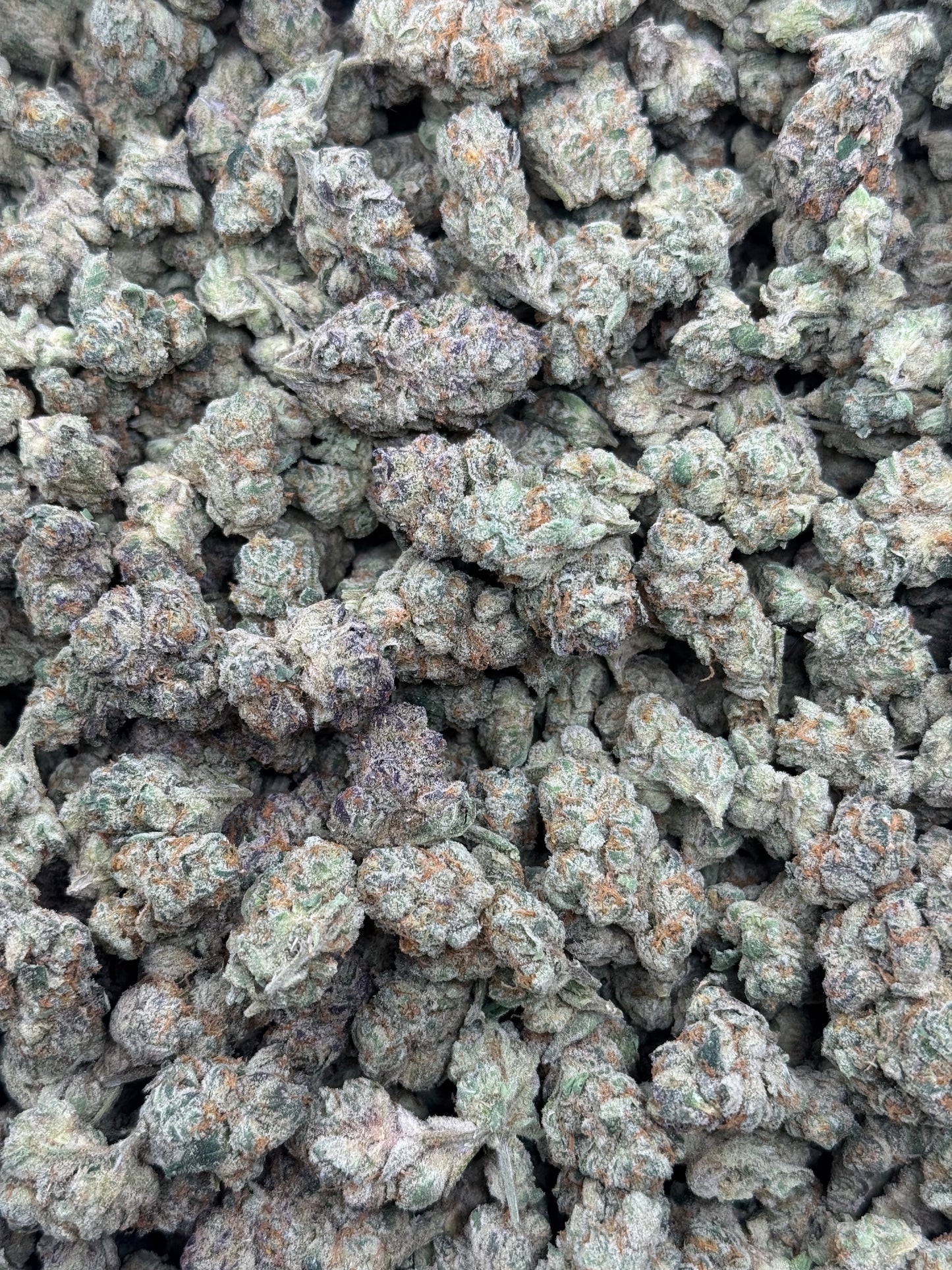 Glitter Bomb Small