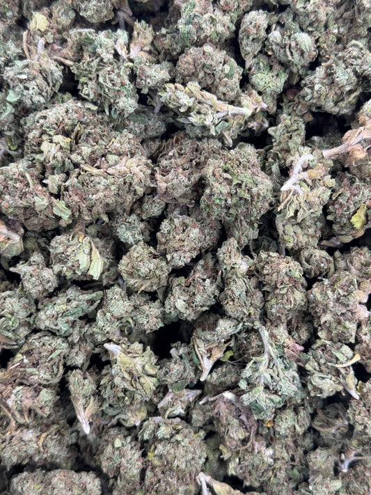 G47