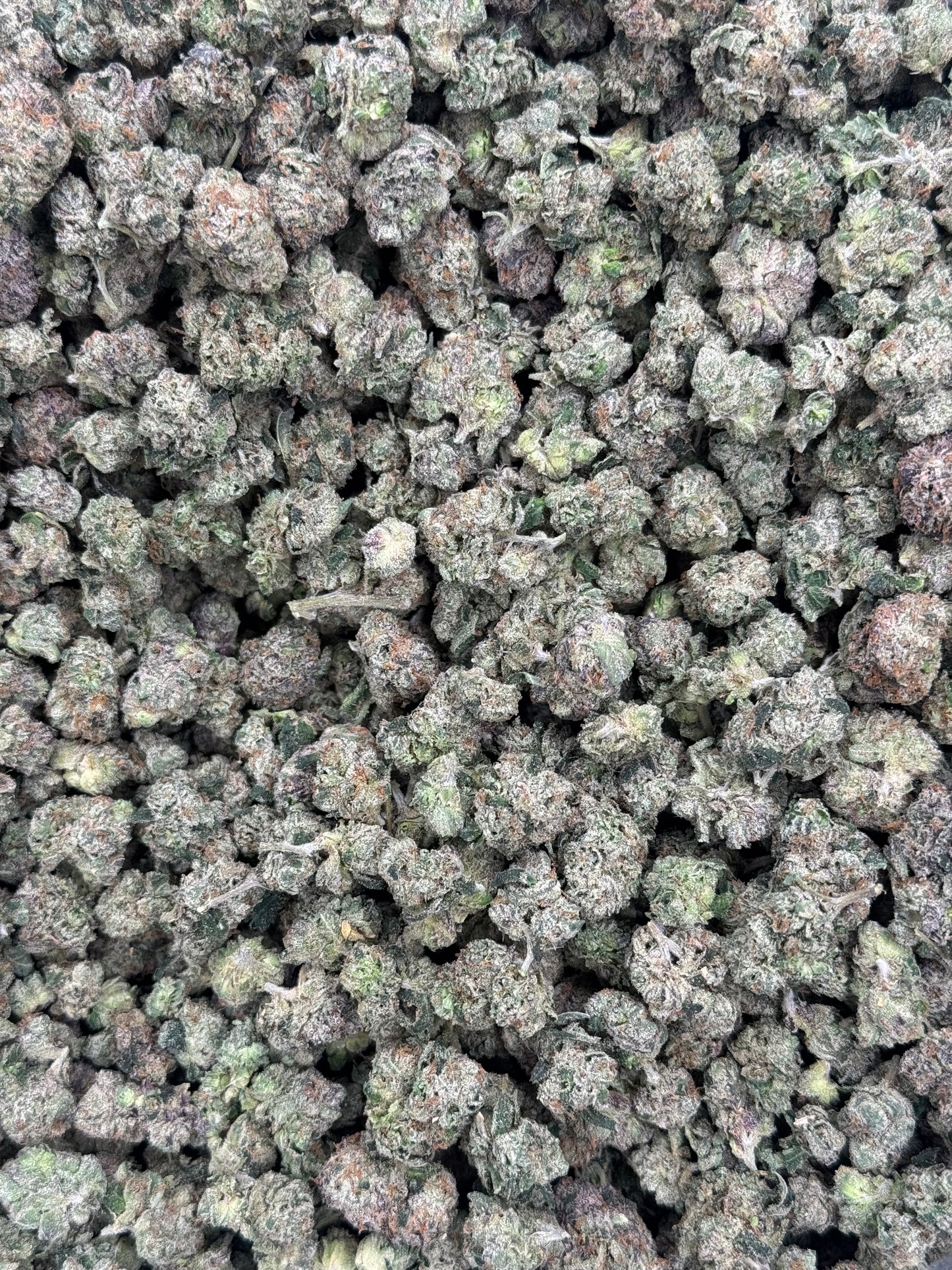 Indoor Bubblegum Smalls