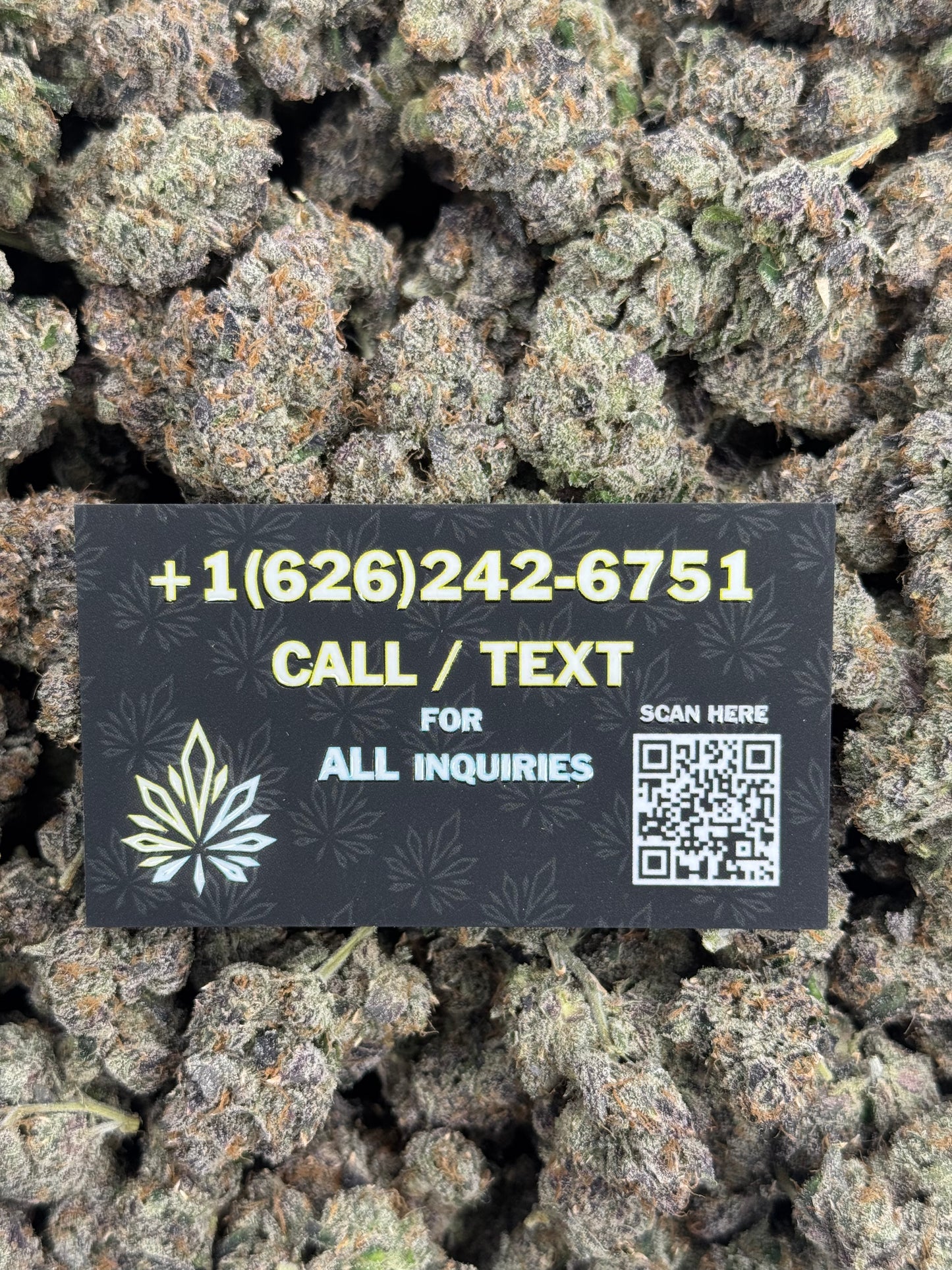 Pink Watermelon Gelato