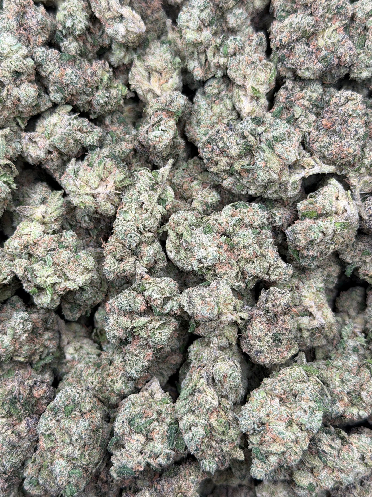 Zour Hour