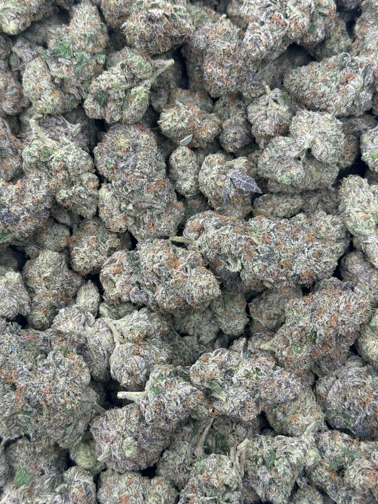 Purple Cream