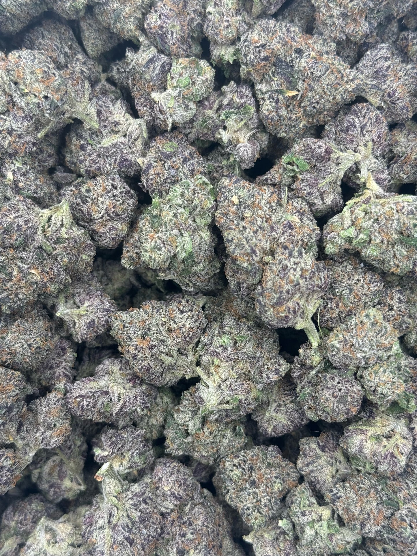 Black Berry Kush