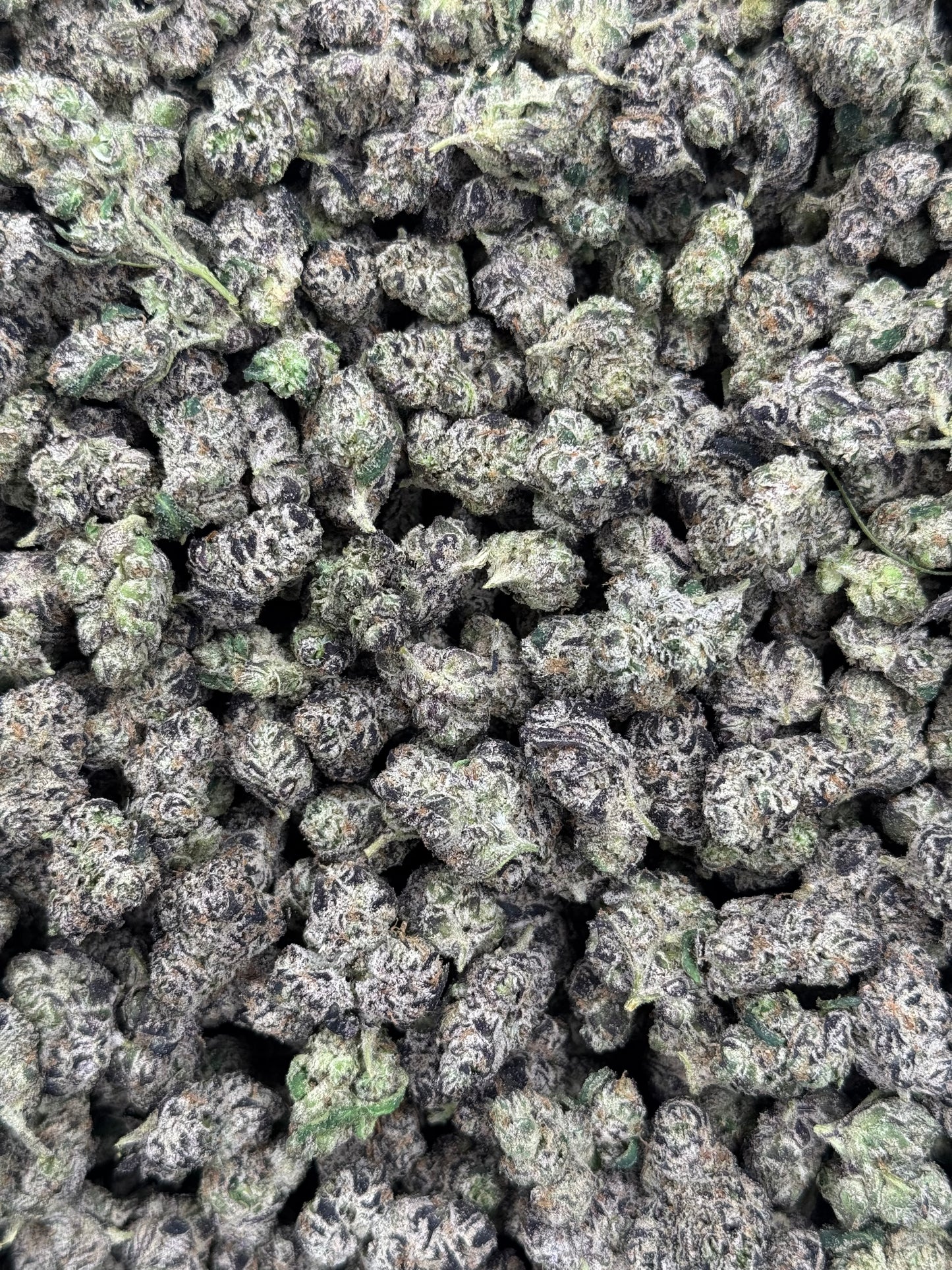 Black Cherry Smalls