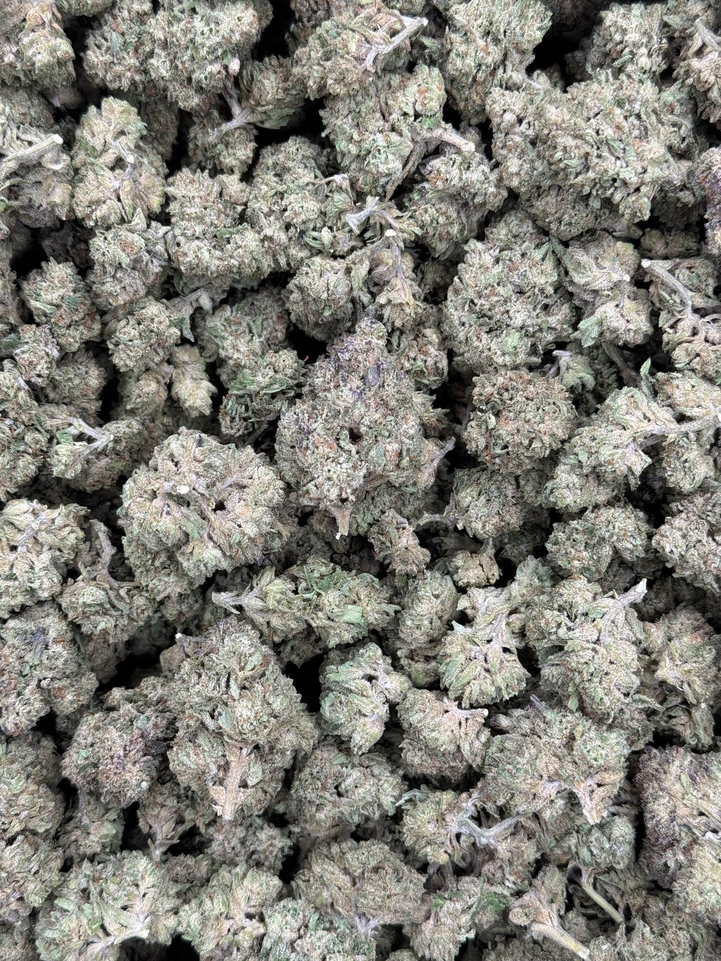 Gelato King