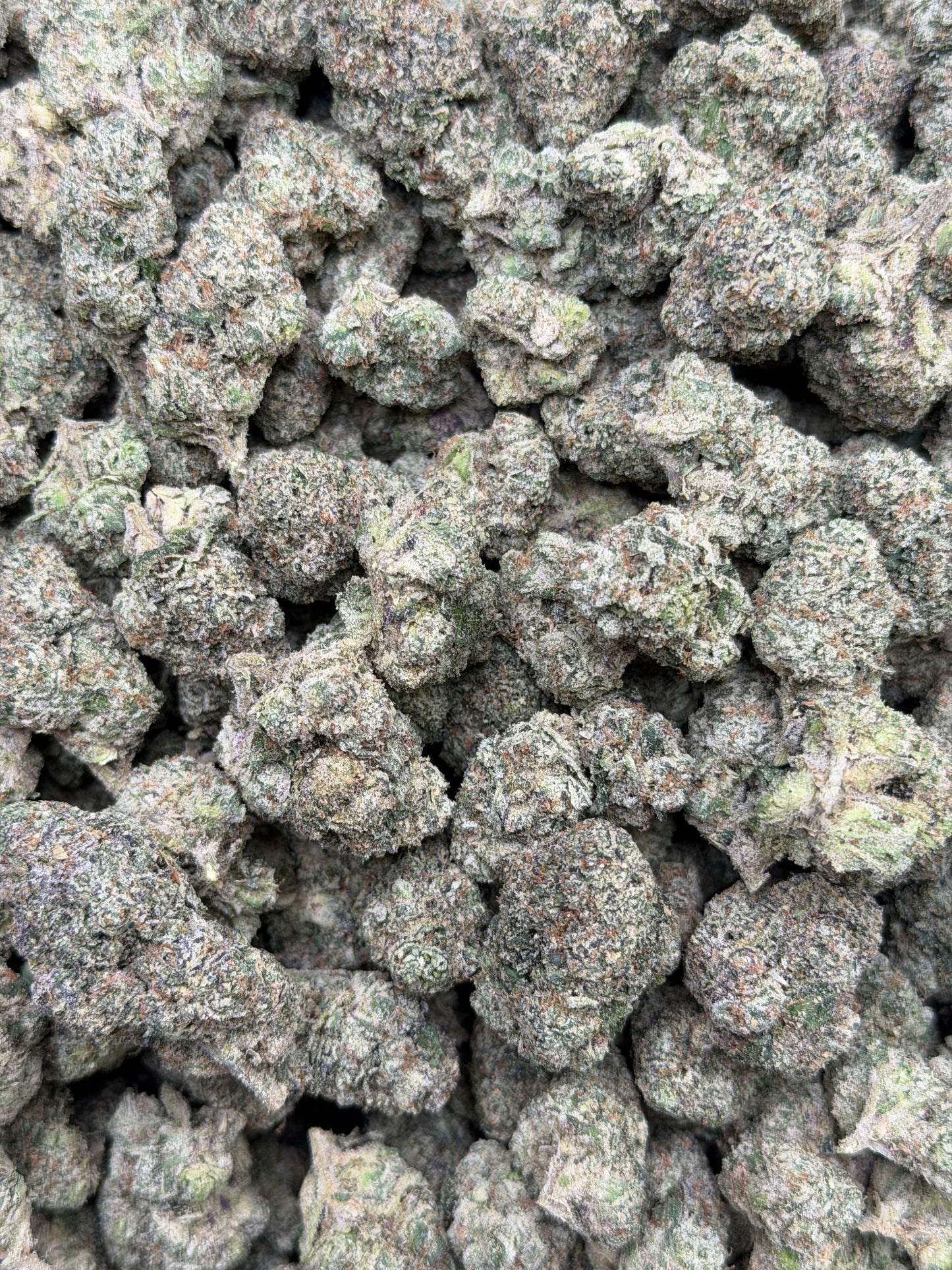 Divine Candy