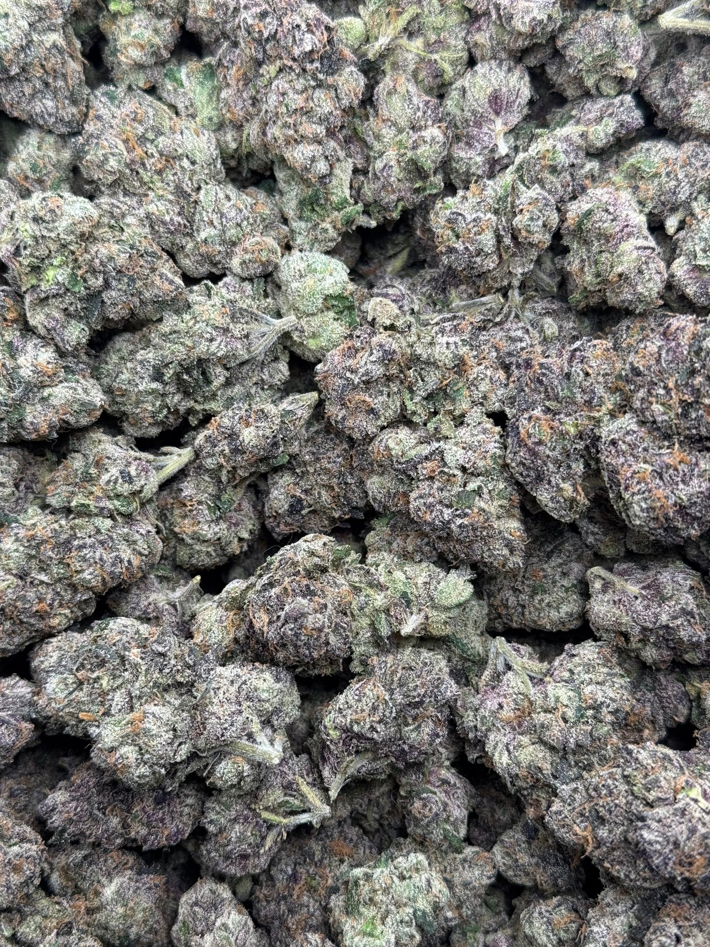 Galactic Warheads