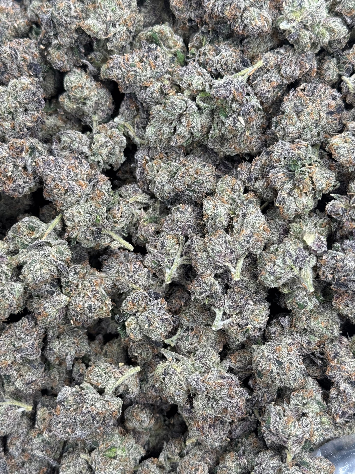 Pink Watermelon Gelato