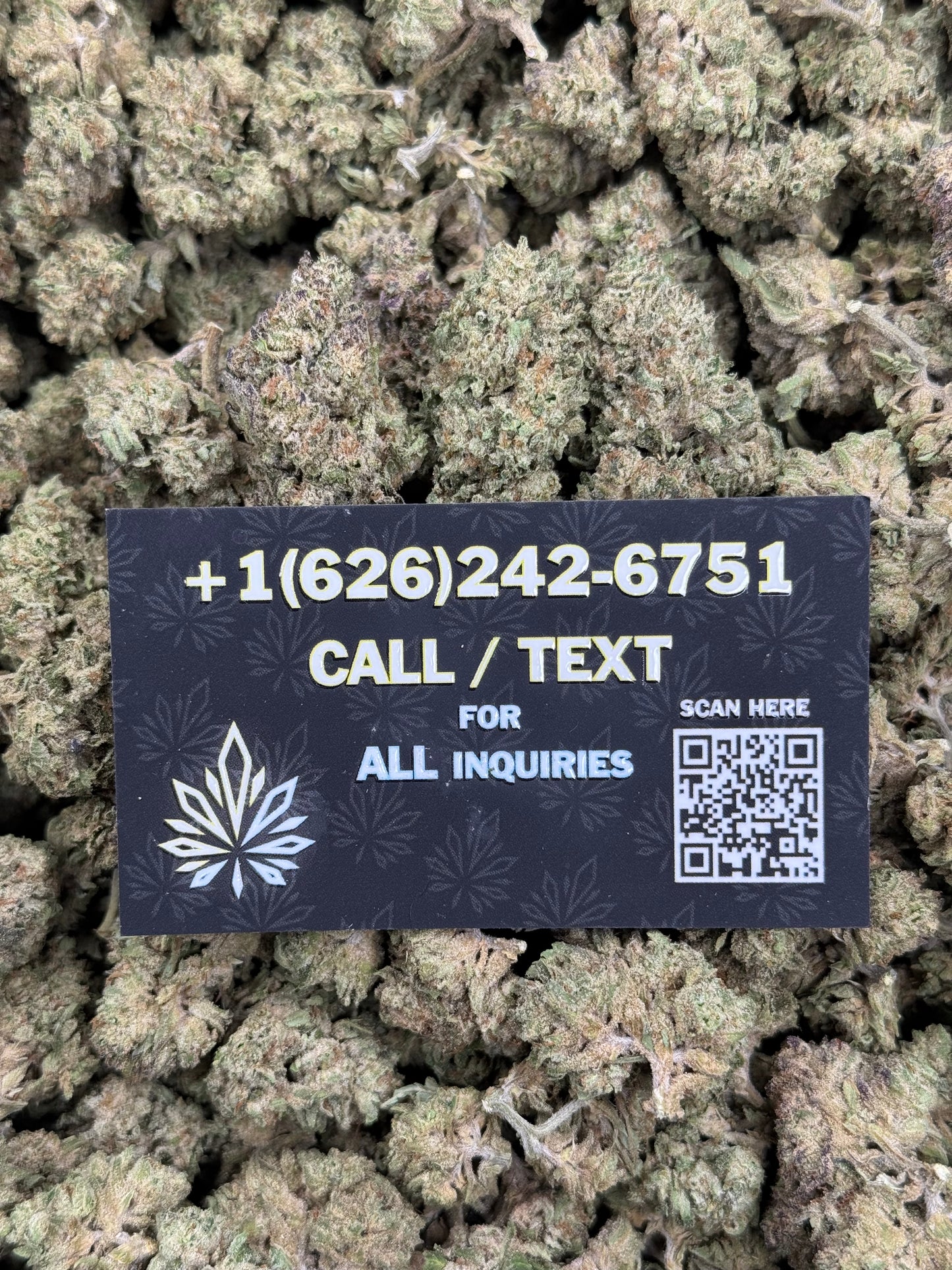 Gelato King
