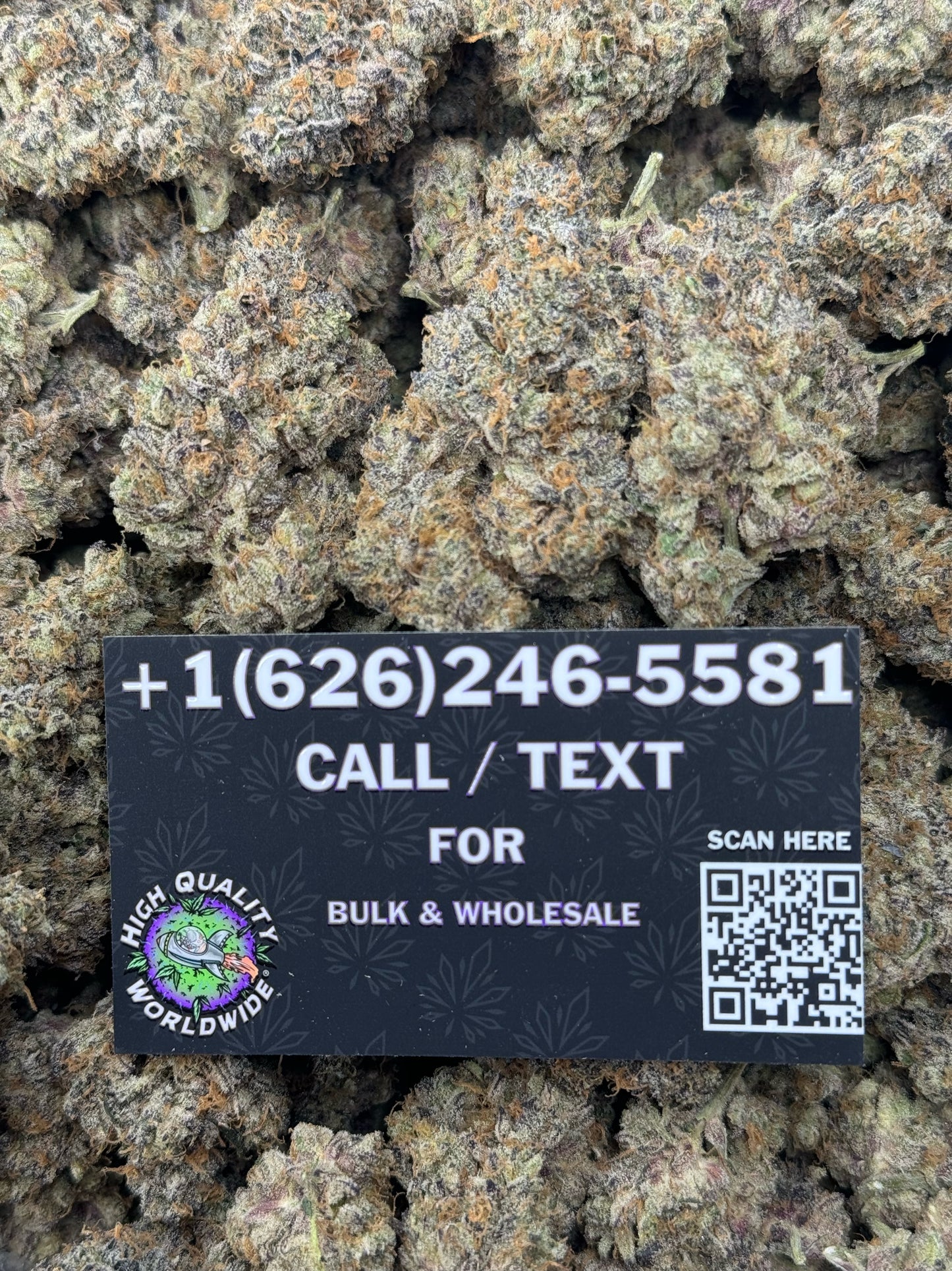 Crazy Animal Cookies