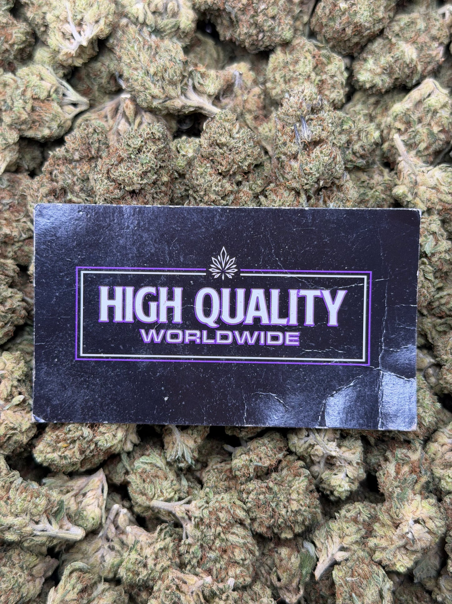 Paris OG
