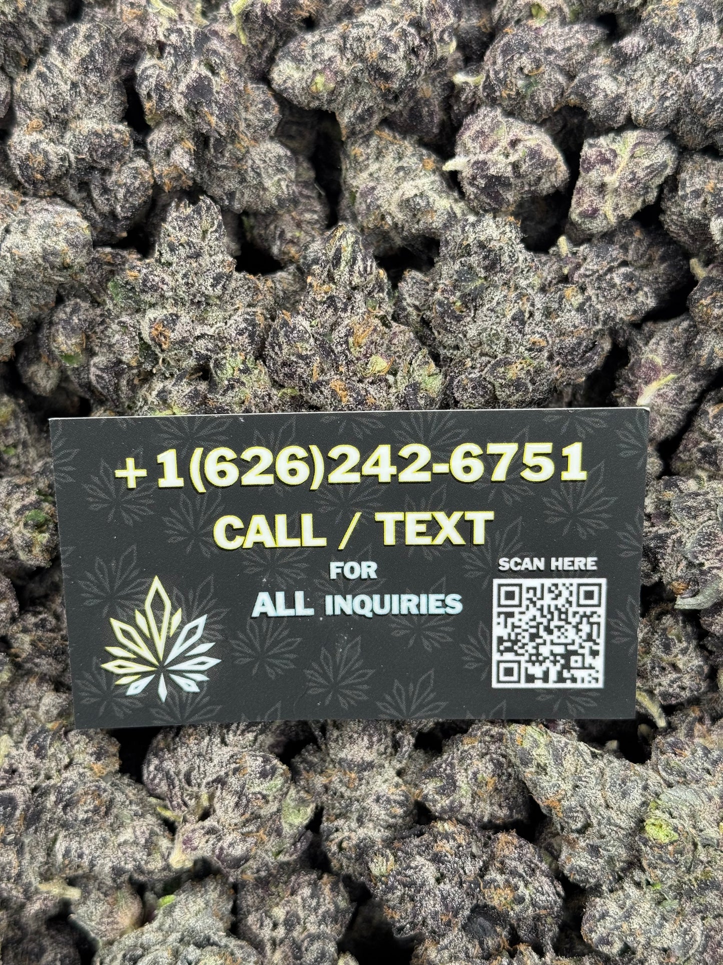 Purple Candy