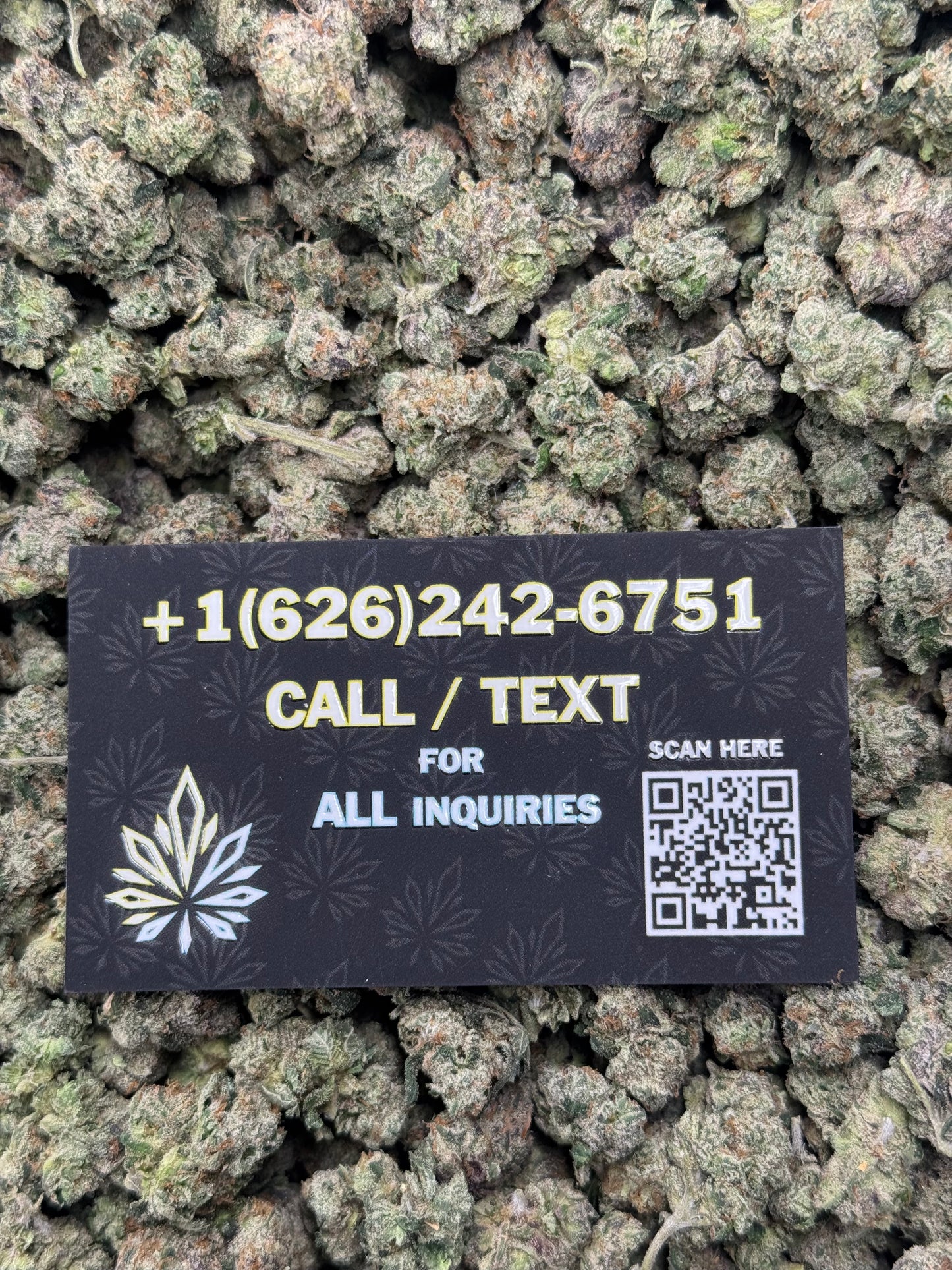 Indoor Bubblegum Smalls