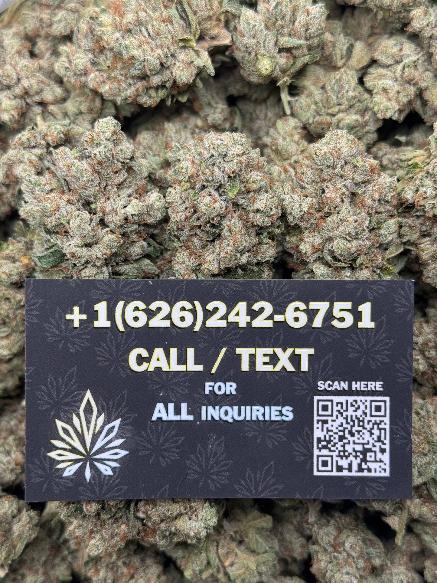 Toad Venom OG